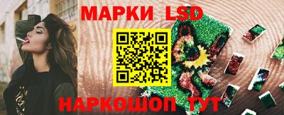 трава Гатчина